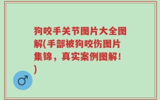 狗咬手关节图片大全图解(手部被狗咬伤图片集锦，真实案例图解！)