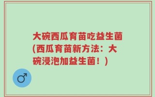 大碗西瓜育苗吃益生菌(西瓜育苗新方法：大碗浸泡加益生菌！)