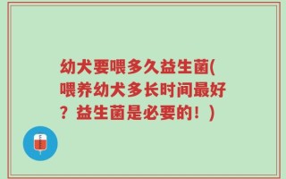 幼犬要喂多久益生菌(喂养幼犬多长时间最好？益生菌是必要的！)