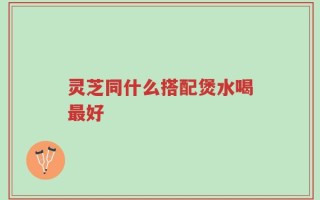 灵芝同什么搭配煲水喝最好