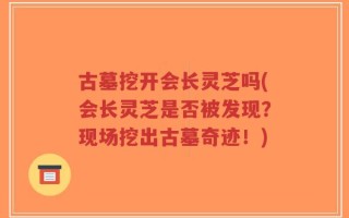 古墓挖开会长灵芝吗(会长灵芝是否被发现？现场挖出古墓奇迹！)