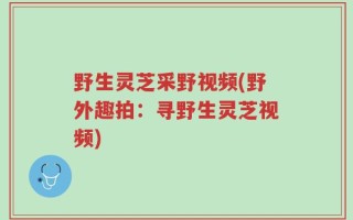 野生灵芝采野视频(野外趣拍：寻野生灵芝视频)