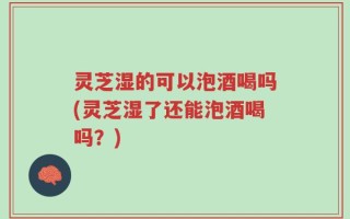 灵芝湿的可以泡酒喝吗(灵芝湿了还能泡酒喝吗？)