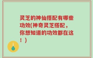 灵芝的神仙搭配有哪些功效(神奇灵芝搭配，你想知道的功效都在这！)