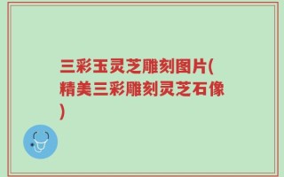 三彩玉灵芝雕刻图片(精美三彩雕刻灵芝石像)