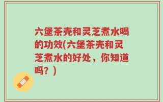 六堡茶壳和灵芝煮水喝的功效(六堡茶壳和灵芝煮水的好处，你知道吗？)