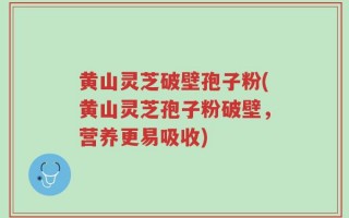 黄山灵芝破壁孢子粉(黄山灵芝孢子粉破壁，营养更易吸收)
