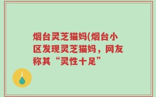烟台灵芝猫妈(烟台小区发现灵芝猫妈，网友称其“灵性十足”