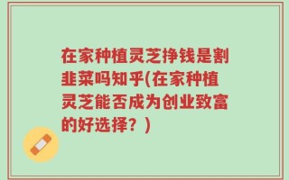 在家种植灵芝挣钱是割韭菜吗知乎(在家种植灵芝能否成为创业致富的好选择？)