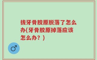 拔牙骨胶原脱落了怎么办(牙骨胶原掉落应该怎么办？)