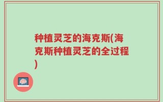 种植灵芝的海克斯(海克斯种植灵芝的全过程)