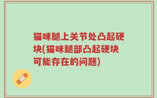 猫咪腿上关节处凸起硬块(猫咪腿部凸起硬块可能存在的问题)