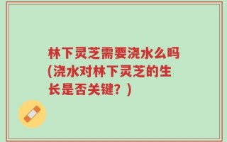 林下灵芝需要浇水么吗(浇水对林下灵芝的生长是否关键？)