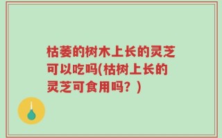 枯萎的树木上长的灵芝可以吃吗(枯树上长的灵芝可食用吗？)