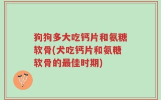 狗狗多大吃钙片和氨糖软骨(犬吃钙片和氨糖软骨的最佳时期)