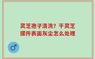 灵芝孢子清洗？干灵芝摆件表面灰尘怎么处理