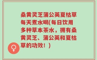 桑黄灵芝蒲公英夏枯草每天煮水喝(每日饮用多种草本茶水，拥有桑黄灵芝、蒲公英和夏枯草的功效！)