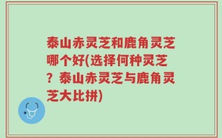 泰山赤灵芝和鹿角灵芝哪个好(选择何种灵芝？泰山赤灵芝与鹿角灵芝大比拼)