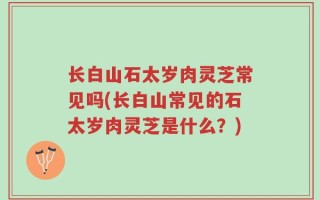 长白山石太岁肉灵芝常见吗(长白山常见的石太岁肉灵芝是什么？)