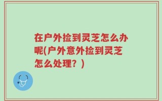 在户外捡到灵芝怎么办呢(户外意外捡到灵芝怎么处理？)