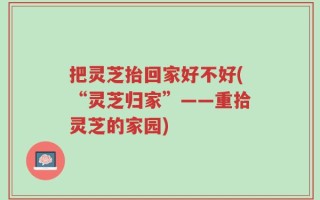 把灵芝抬回家好不好(“灵芝归家”——重拾灵芝的家园)