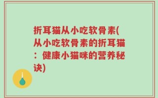 折耳猫从小吃软骨素(从小吃软骨素的折耳猫：健康小猫咪的营养秘诀)