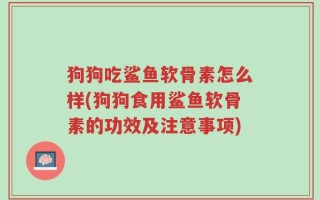 狗狗吃鲨鱼软骨素怎么样(狗狗食用鲨鱼软骨素的功效及注意事项)