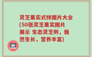 灵芝果实式样图片大全(50张灵芝果实图片展示 生态灵芝则，巍然生长，营养丰富)