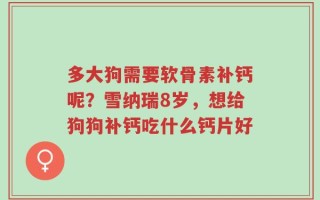 多大狗需要软骨素补钙呢？雪纳瑞8岁，想给狗狗补钙吃什么钙片好