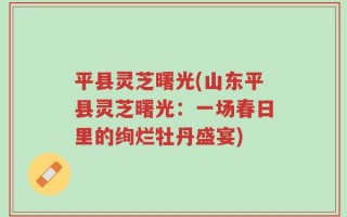 平县灵芝曙光(山东平县灵芝曙光：一场春日里的绚烂牡丹盛宴)