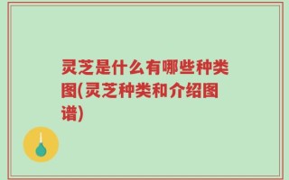 灵芝是什么有哪些种类图(灵芝种类和介绍图谱)