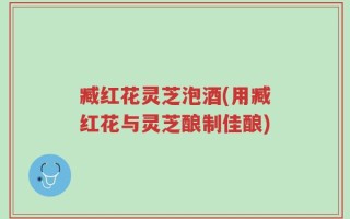臧红花灵芝泡酒(用臧红花与灵芝酿制佳酿)