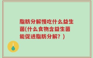 脂肪分解慢吃什么益生菌(什么食物含益生菌能促进脂肪分解？)