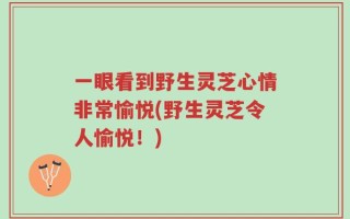 一眼看到野生灵芝心情非常愉悦(野生灵芝令人愉悦！)