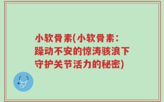 小软骨素(小软骨素：躁动不安的惊涛骇浪下守护关节活力的秘密)