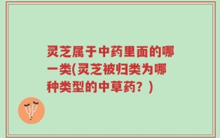 灵芝属于中药里面的哪一类(灵芝被归类为哪种类型的中草药？)