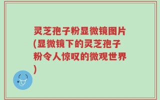 灵芝孢子粉显微镜图片(显微镜下的灵芝孢子粉令人惊叹的微观世界)