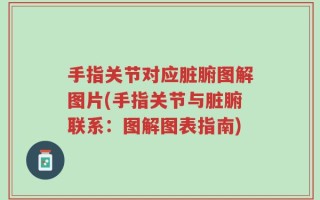 手指关节对应脏腑图解图片(手指关节与脏腑联系：图解图表指南)