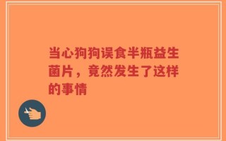 当心狗狗误食半瓶益生菌片，竟然发生了这样的事情