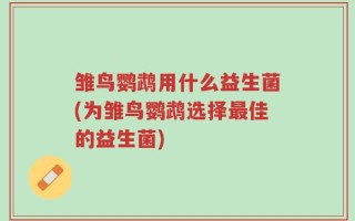 雏鸟鹦鹉用什么益生菌(为雏鸟鹦鹉选择最佳的益生菌)