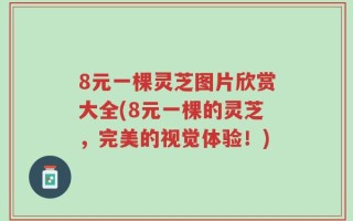 8元一棵灵芝图片欣赏大全(8元一棵的灵芝，完美的视觉体验！)