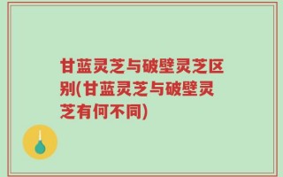 甘蓝灵芝与破壁灵芝区别(甘蓝灵芝与破壁灵芝有何不同)