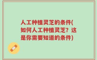人工种植灵芝的条件(如何人工种植灵芝？这是你需要知道的条件)