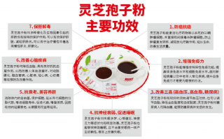 灵芝孢子粉的功效及机理作用都有哪些？