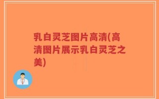 乳白灵芝图片高清(高清图片展示乳白灵芝之美)