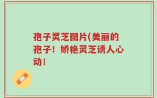 孢子灵芝图片(美丽的孢子！娇艳灵芝诱人心动！