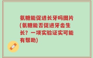 氨糖能促进长牙吗图片(氨糖能否促进牙齿生长？一项实验证实可能有帮助)