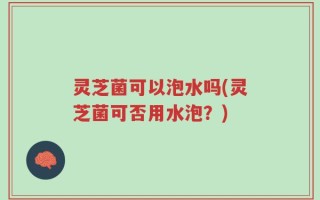 灵芝菌可以泡水吗(灵芝菌可否用水泡？)