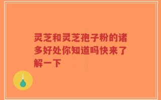 灵芝和灵芝孢子粉的诸多好处你知道吗快来了解一下