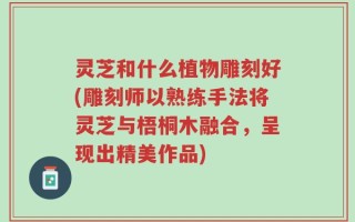 灵芝和什么植物雕刻好(雕刻师以熟练手法将灵芝与梧桐木融合，呈现出精美作品)